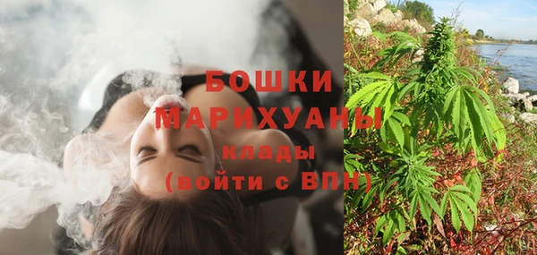 PSILOCYBIN Беломорск